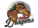 Logo von Solinger Dragons